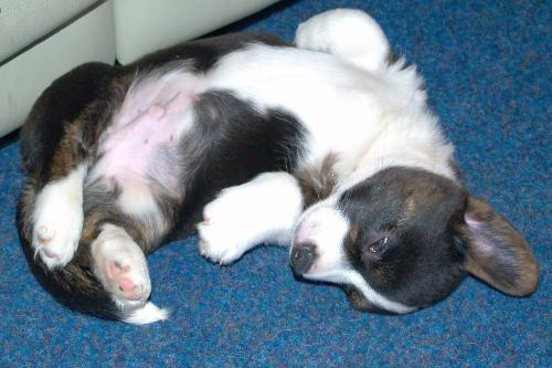 _wsb_500x333_ap+sacha